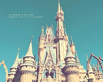 Magic Kingdom Castle